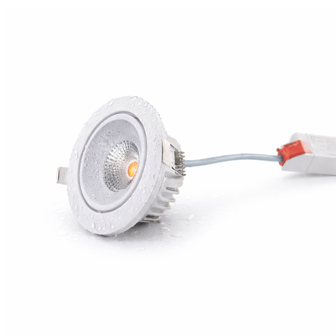 Spot incastrat DEXTER - imagine 2